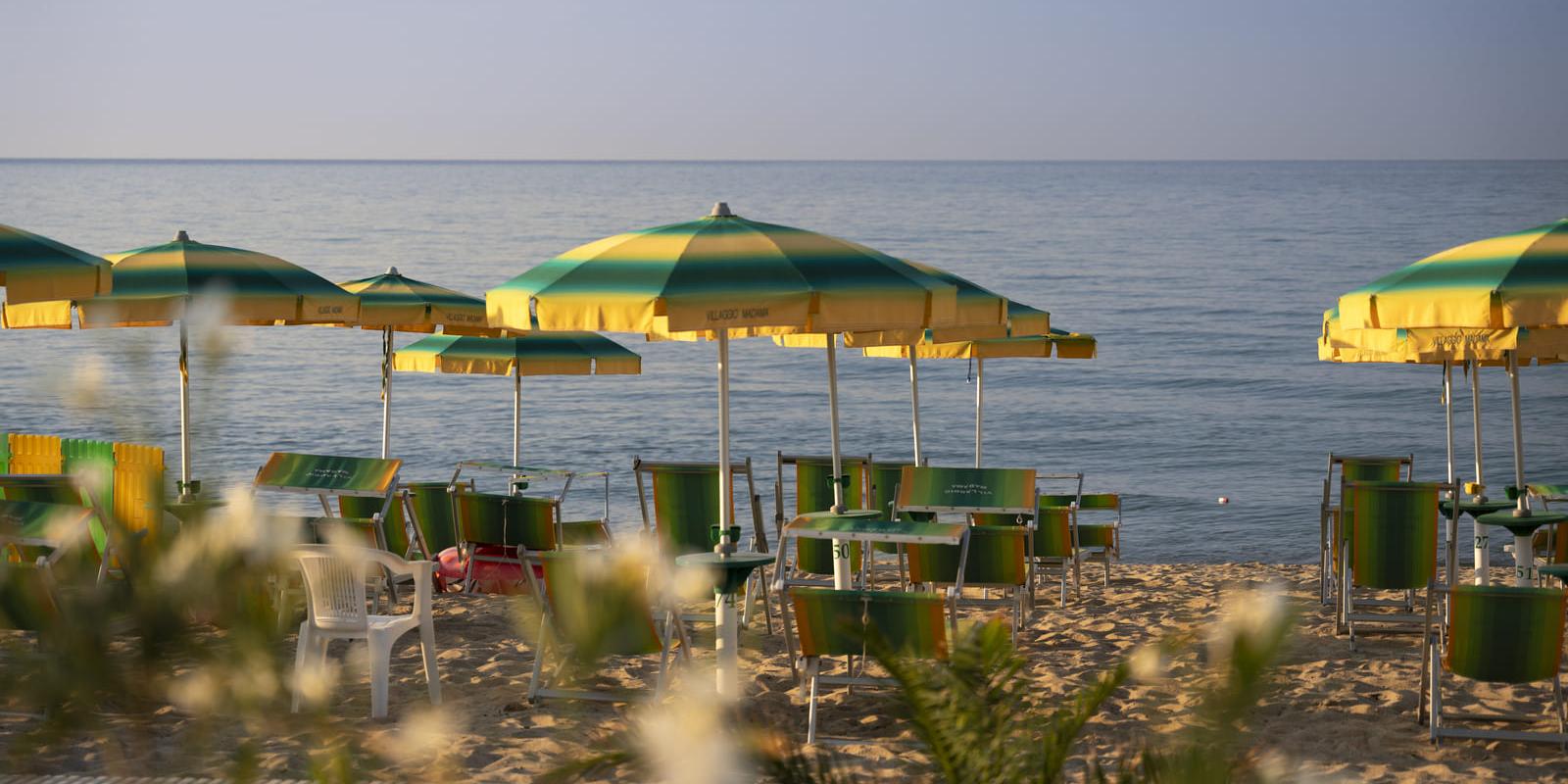 Spiaggia con ombrelloni giallo-verdi, sedie a sdraio e mare calmo al tramonto.